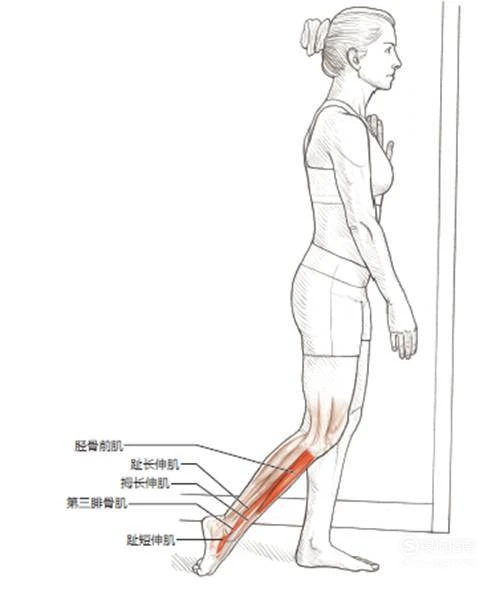 如何在比赛中发现和发展球员潜力_0